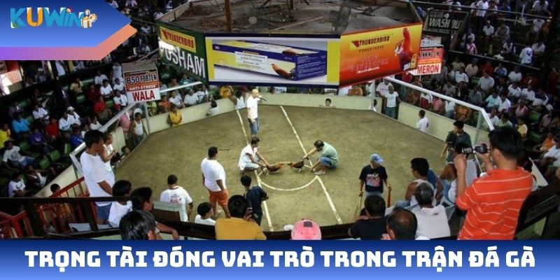 Trọng tài đóng vai trò trong trận đá gà